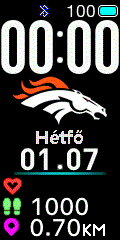 NFL - Denver Broncos