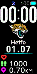 NFL - Jacksonville Jaguars