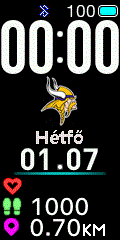 NFL - Minnesota Vikings