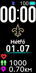 NFL - New Orleans Saints