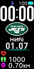 NFL - New York Jets