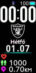 NFL - Oakland Raiders