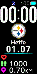 NFL - Pittsburgh Steelers