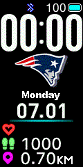 NFL - New England Patriots