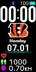 NFL - Cincinnati Bengals