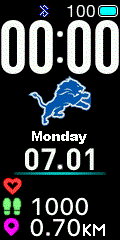 NFL - Detroit Lions
