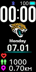 NFL - Jacksonville Jaguars