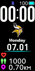 NFL - Minnesota Vikings