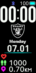 NFL - Oakland Raiders