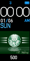 Palmeiras