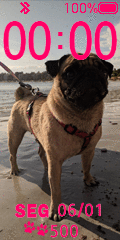 Pug Amora Praia