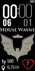 HOUSE WAYNE BATMAN