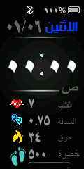 ARABIC NUMBER