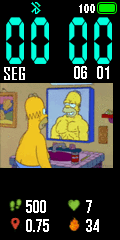 Homer Fitness