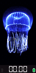 jellyfish Blue