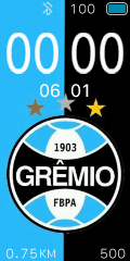 Grêmio futebol