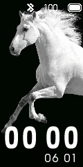 White Horse
