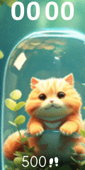 Cat in Water