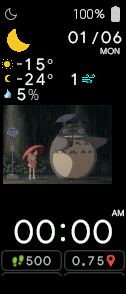 totoro