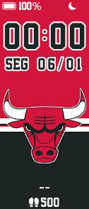Chicago Bulls