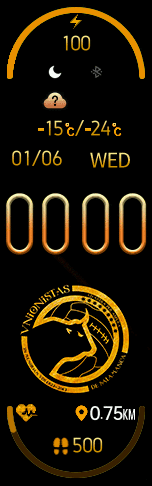 Unionistas de Salamanca gold