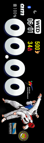 TAEKWONDO INDONESIA 2