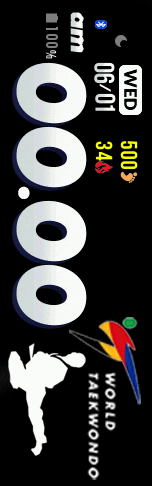 World Taekwondo kick