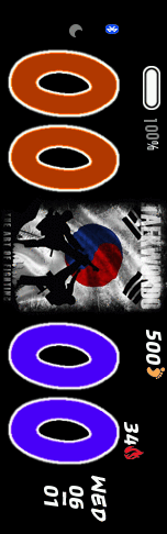 TAEKWONDO ART OF FIGHTER