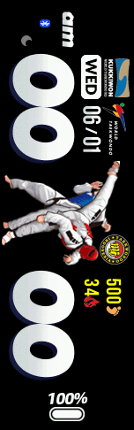 TAEKWONDO INDONESIA 3