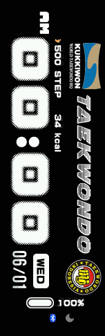 TAEKWONDO INDONESIA 3