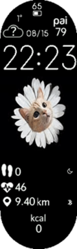 rolling daisy cat