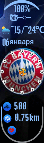 fcbayern_rus