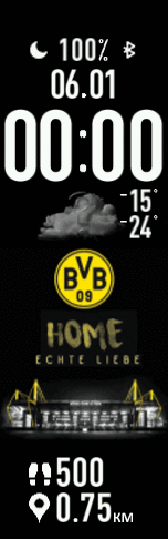 BorussiaDortmund
