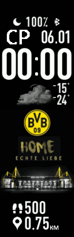 BorussiaDortmund_rus