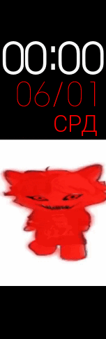 zxc кот курседа