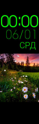 Лето. Бабочки.