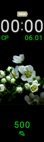 Распускание белых цветочков