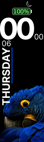 Animal2 – without dayofmonth, battery figure, minutes higher