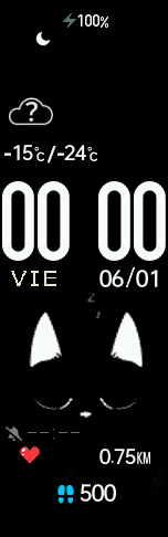 Gato Negro (Black Cat)