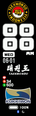 taekwondo indonesia3