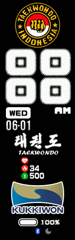 taekwondo indonesia4