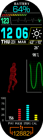 CTEPE0 "Status" Watchface (English Version)