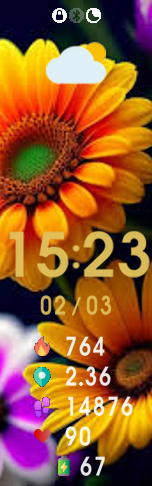 Flowers watchface mb6