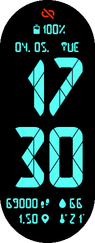 X15 Segmented
