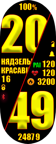 Праект 23