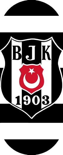 Beşiktaş Teması