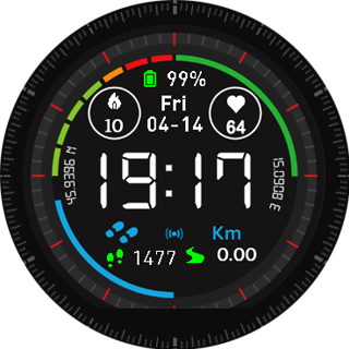 GarminFinix