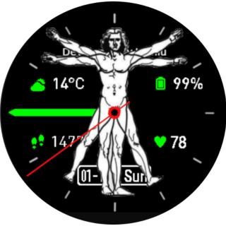 Vitruvian Man