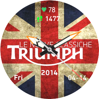 Triumph Flag