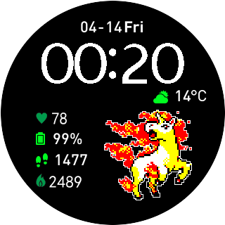 Rapidash 01B